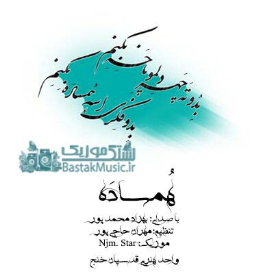 بهزاد محمد پور همساده