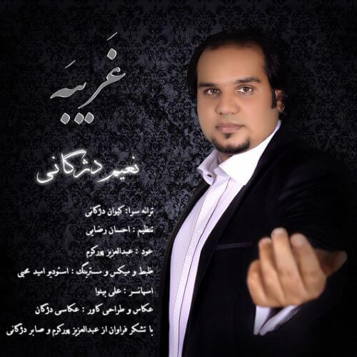 نعیم دژگانی غریبه