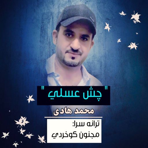 محمد هادی چش عسلی