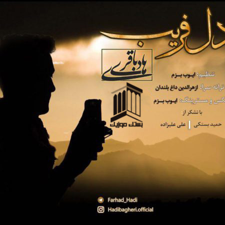 هادی باقری دلفریب