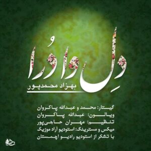 بهزاد محمد پور دل وا درا