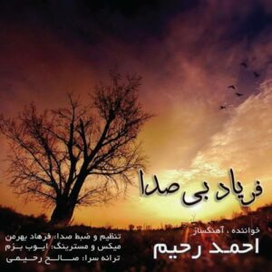 احمد رحیم فریاد بی صدا