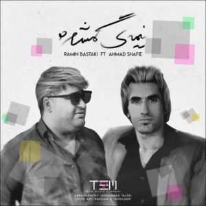 رامین بستکی و احمد شفیعی نیمه گمشده