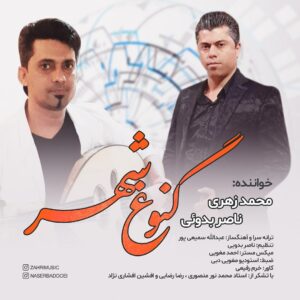 محمد زهری گنوغ شهر
