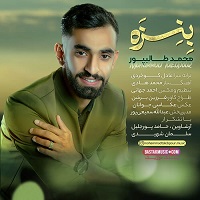 محمد طالب پور