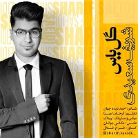 شریف سعیدی