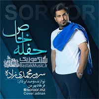 سرور محمدی زاده