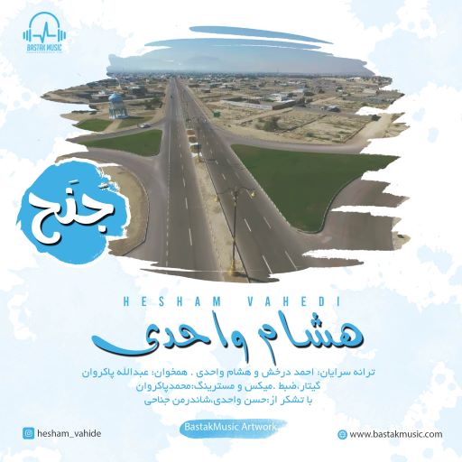 هشام واحدی جنح