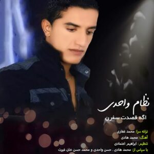 نظام واحدی اگه قصدت سفرن