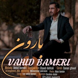وحید بامری بارون