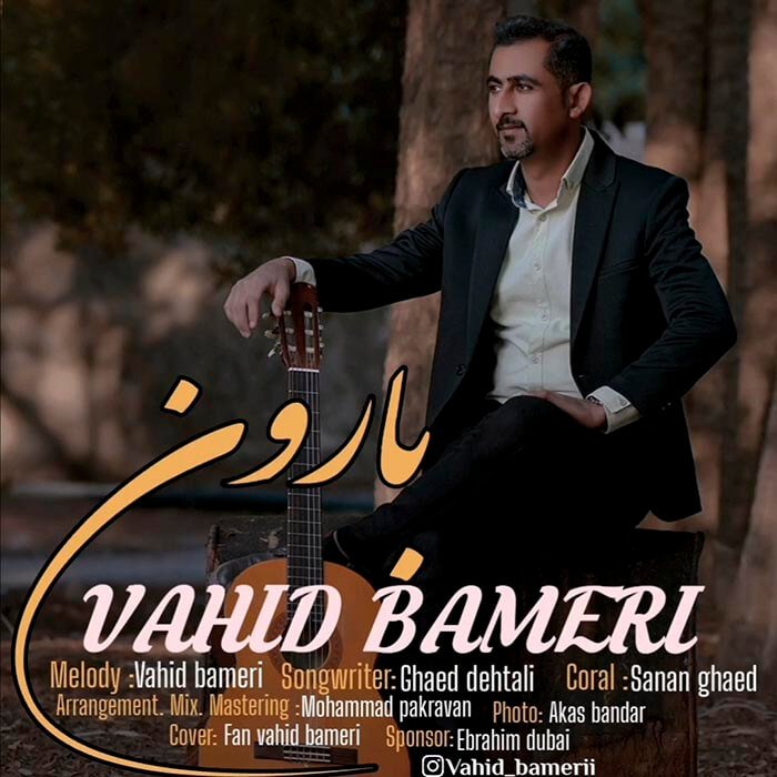 وحید بامری بارون