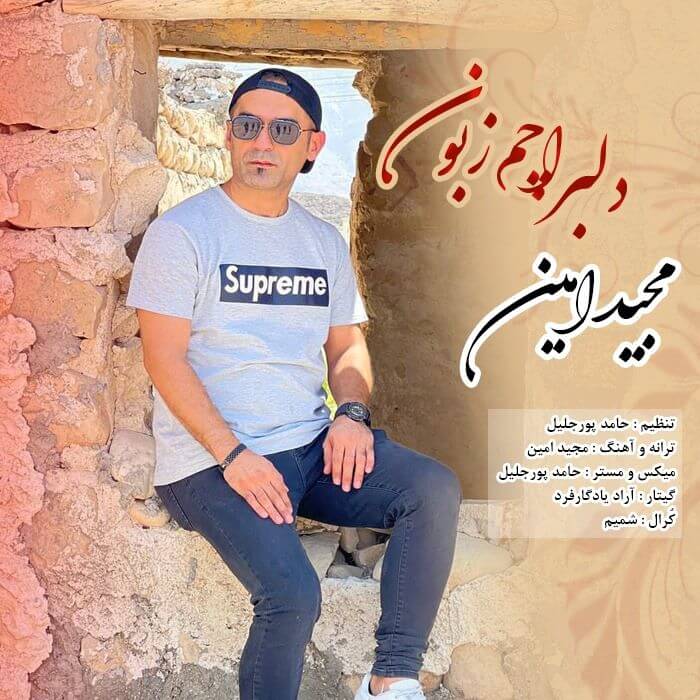 مجید امین دلبر اچم زبون