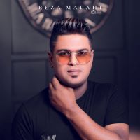 رضا ملاحی