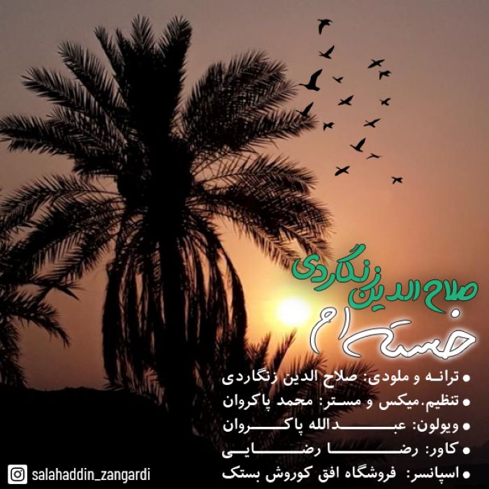 صلاح الدین زنگاردی خسته ام