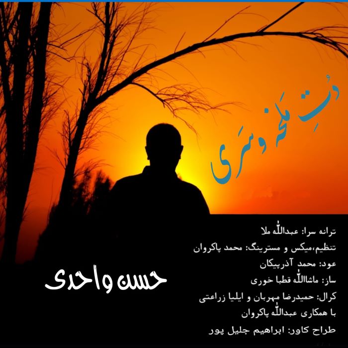 حسن واحدی دت ملخه وسری