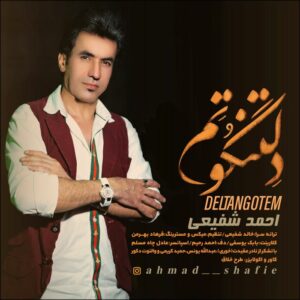 احمد شفیعی دلتنگوتم