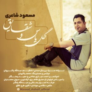 مسعود شاعری گل یاس و شقایق