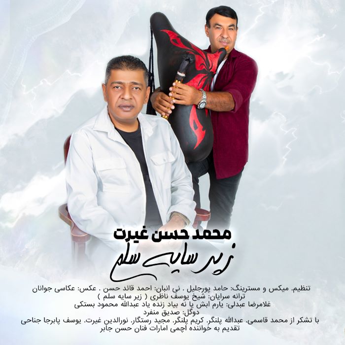 محمد حسن غیرت زیر سایه سلم