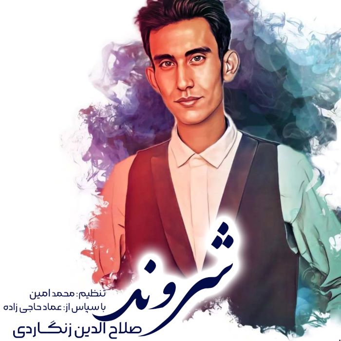 صلاح الدین زنگاردی شروند