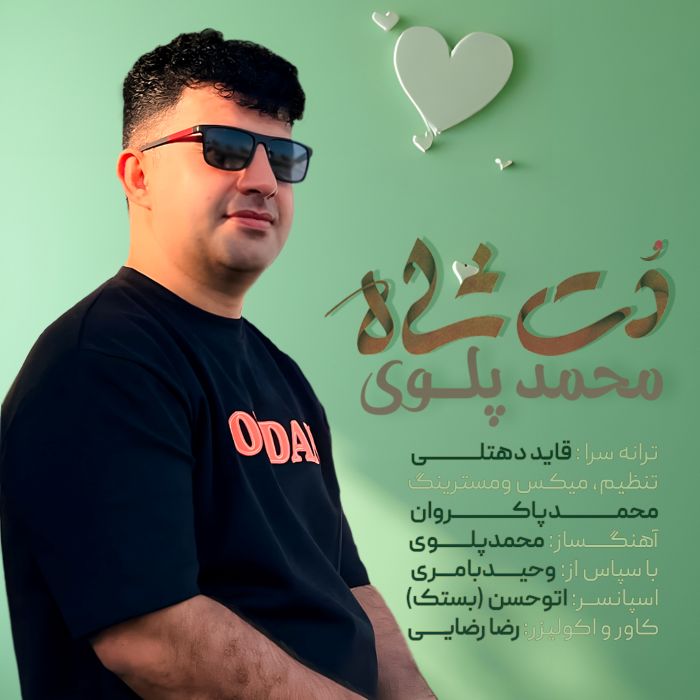 محمد پلوی دت شاه